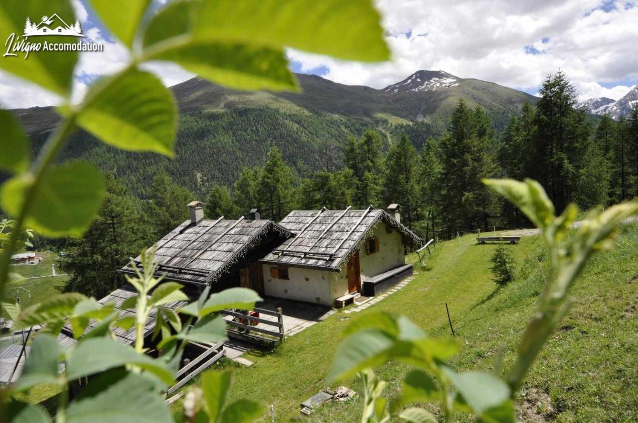 Hanzel E Gretel * Livigno
